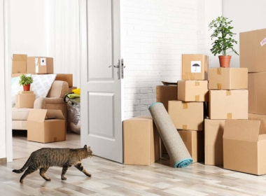 Unconventional Packing Methods: Creative Ways to Pack Your Belongings for a Move from Boston to New Bedford