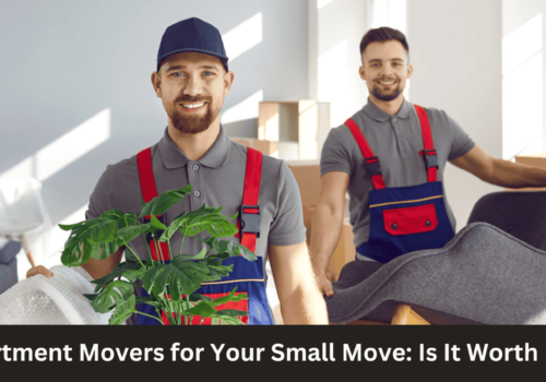 Apartment Movers for Your Small Move: Is It Worth It?